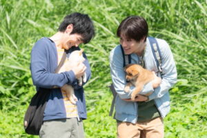 犬の映画 泣ける3選を紹介 犬部 映画公開記念 たちまち ブログ